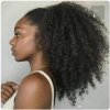 afro-kinky-curly-hairpiece-human-hair-clip.jpg