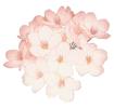 320-3204726_anime-flowers-flower-aesthetic-tumblr-kpop-transparent-anime-removebg-preview.png