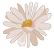 flower3png.png