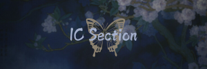 IC Section.png