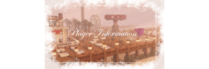 Player Information.png Player Information.png