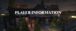 Player Info.png