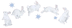 image_2026-05-26_175519481-removebg-preview.png