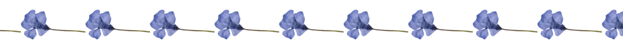 1783833690471.png 1783833690471.png