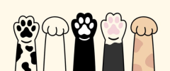 1784385854553.png 1784385854553.png