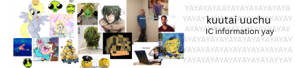 yay application.png