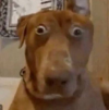 1787505034765.png