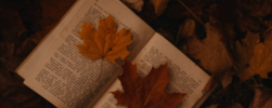 1790568993925.png