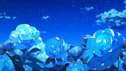 夜空と青いバラ.jpg 夜空と青いバラ.jpg