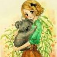 Koala girrl