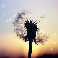 Angelina Marie Dominguez