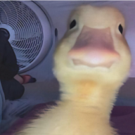 Duckify