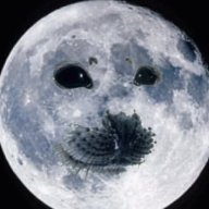 wwoggooo