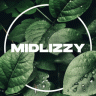 MidLizzy