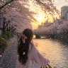 sakuraya