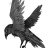 Raven123
