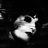 Vampyrebat9386